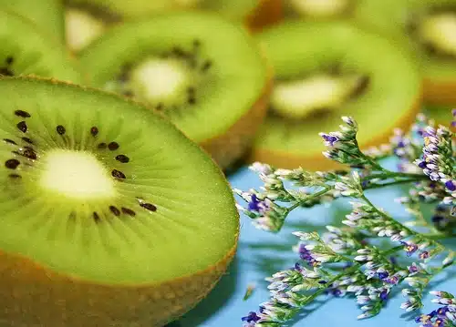 Start A Food Blog1