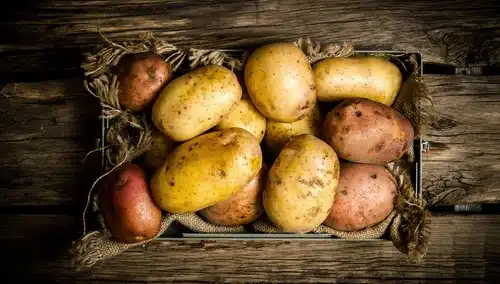Are potatoes paleo